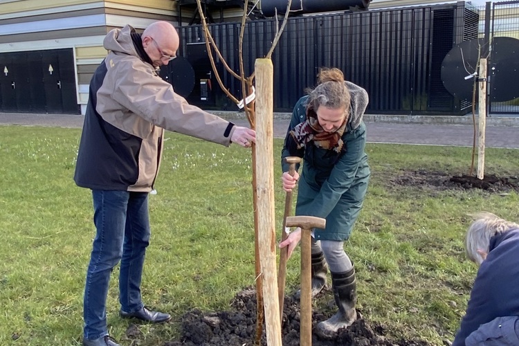 Bomen van oude appelrassen geplant op ziekenhuisterrein 